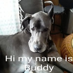 Meet your Posher, Dawn